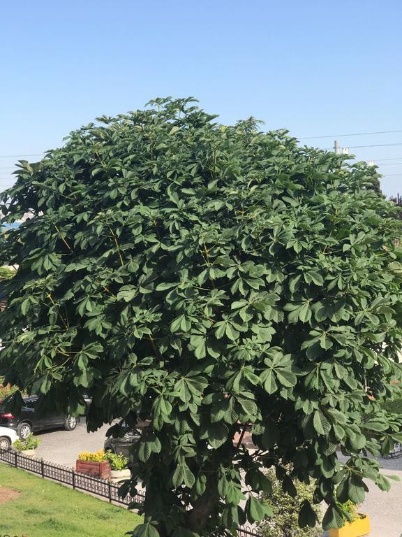 Historial Suit Apart Hotel Istanbul Eksteriør bilde